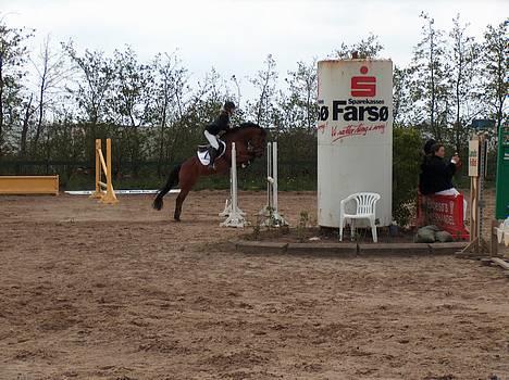 DSP Lanciano kærlund (solgt) - lanciano og sara i farsø.. LB billede 14