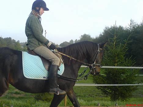 Anden særlig race Tamara  *SOLGT* billede 2