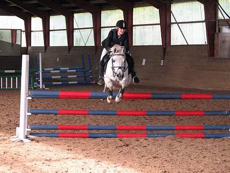 Anden særlig race » Miss Chili - solgt - LA billede 3