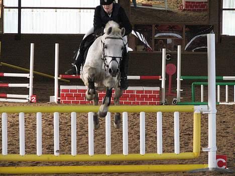 Anden særlig race » Miss Chili - solgt - LB billede 5
