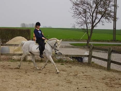 Anden særlig race » Miss Chili - solgt - Ude på vores ridebane. Jeg sidder ikke så kønt, nej ! billede 8