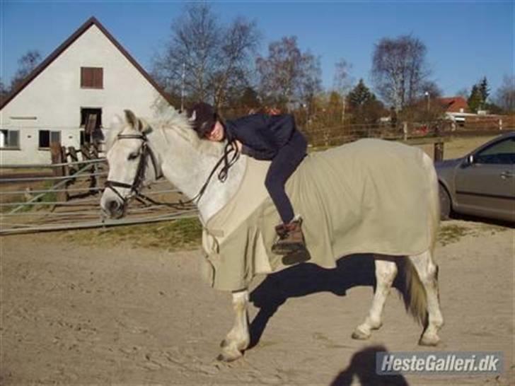 Anden særlig race » Miss Chili - solgt - chilipigen og hendes nye ejer <3 billede 11