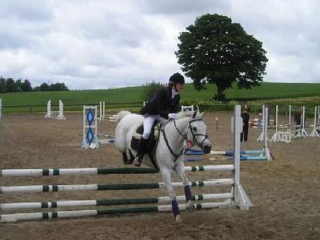 Anden særlig race » Miss Chili - solgt - Mit første stævne med hende, LC billede 12
