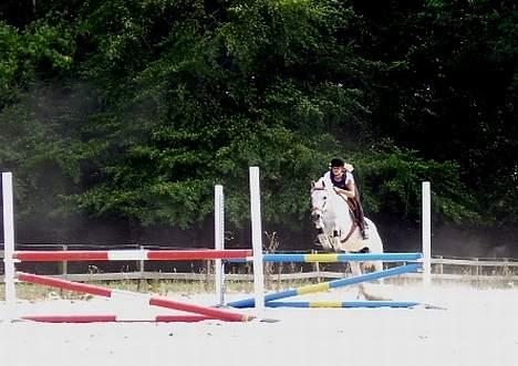 Anden særlig race » Miss Chili - solgt - Ridelejr MSR billede 13