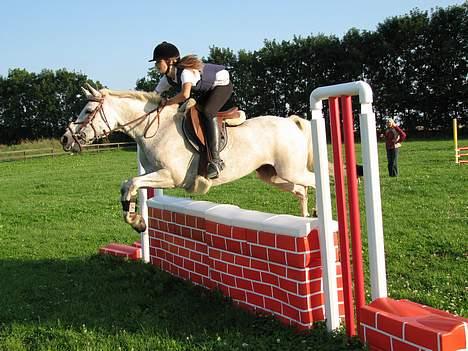 Anden særlig race » Miss Chili - solgt - Mur sommer ´06 - ikke kønt nej. billede 14