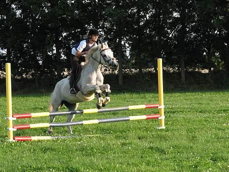 Anden særlig race » Miss Chili - solgt - Opvarmning , til træning :D billede 17