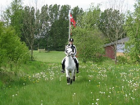 Anden særlig race » Miss Chili - solgt - På marken mellem mit hus og rideklubben :) billede 19