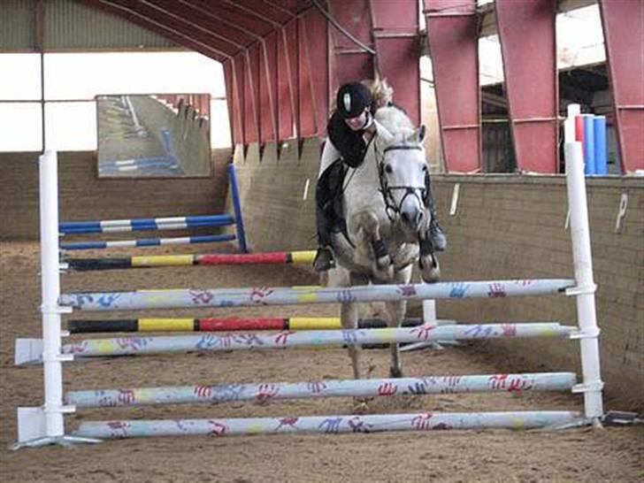 Anden særlig race » Miss Chili - solgt - gæt hvis håndaftryk der er på springet ;b billede 20