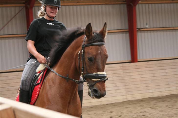 Oldenborg Flexie Vestergård - Dressurkursus m. Sidsel M. Johansen :D billede 1