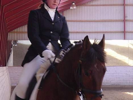 Oldenborg Flexie Vestergård - stævne i ÆRT rytter : Cathrine Binq (ejer) billede 3