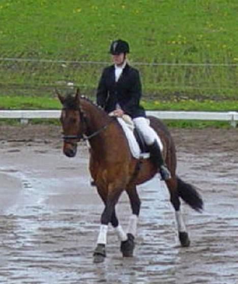 Oldenborg Flexie Vestergård -  stævne i SLS rytter : cathrine bing  billede 5