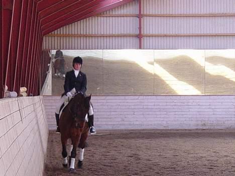 Oldenborg Flexie Vestergård - stævne i ÆRT m cathrine bing billede 6