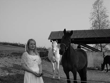 Oldenborg Flexie Vestergård - se han engang  .. - vildt nysgerrig  billede 8