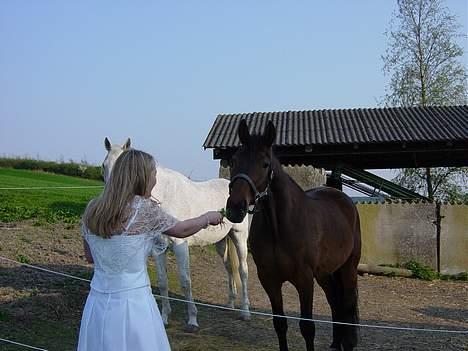 Oldenborg Flexie Vestergård - Cathrina fik han i konfimationsgave !! billede 9