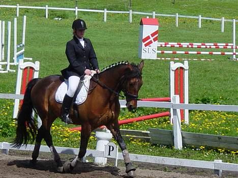 Oldenborg Flexie Vestergård - stævne i SLS med cathrine  billede 10