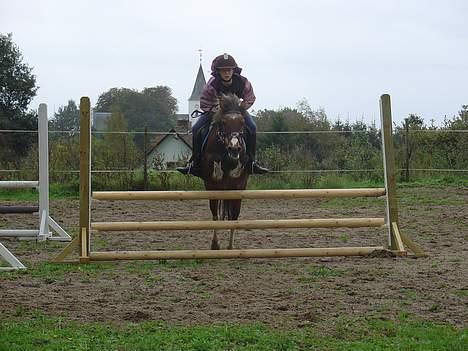 Anden særlig race | Cool Spot *Solgt* - *20* Her springer JEG på Coolie... 8) 90 cm. Foto: Min mor billede 20