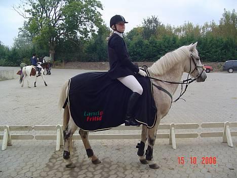 Anden særlig race IL TEMPO GIGANTE solgt - til stævne.. billede 12