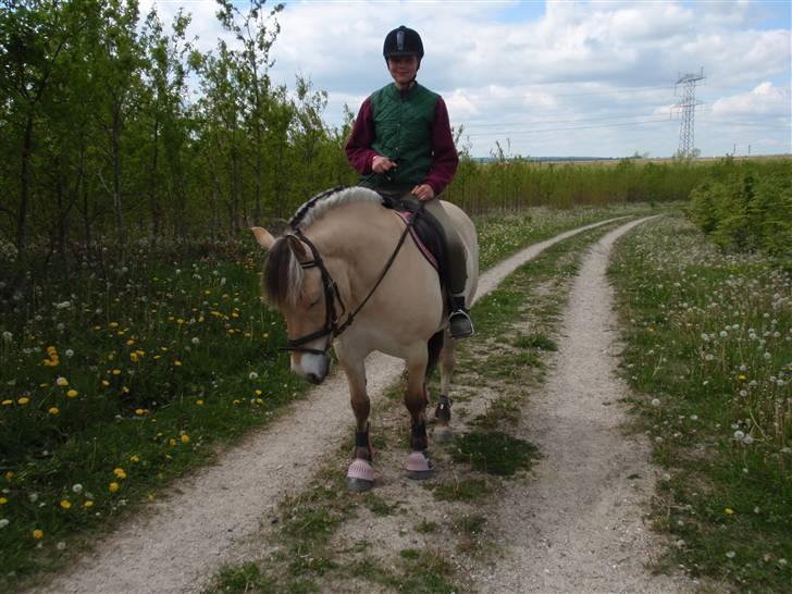 Anden særlig race LYNGHOLTS FRIDA solgt :-( - frida og kristine i skoven billede 12