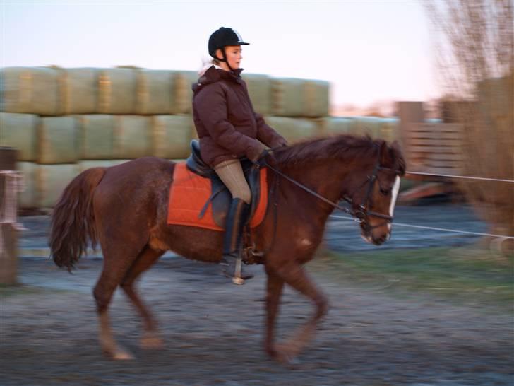DSP Maglehøjs Micado R.I.P - Lækker lækker! På banen..  billede 18