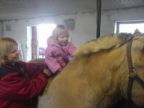 Fjordhest Susi  - Natasja og Susi... billede 4