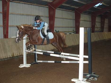 Anden særlig race Starlight <33 - Miq o´ min darjLige pony springer oxer..! <3 Du er dygtig..<3 billede 9