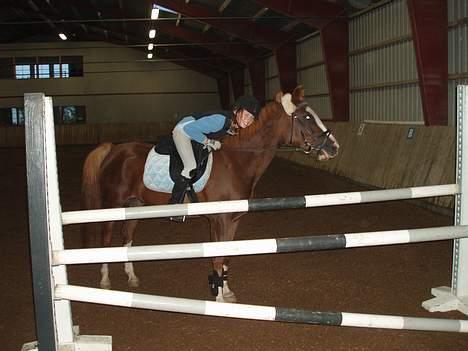 Anden særlig race Starlight <33 - Elsker miijn pony<3 billede 10