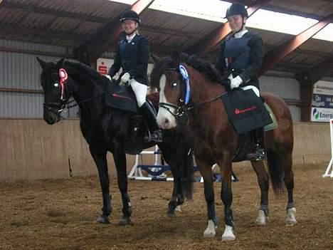 DSP Bæklunds Laredo (SOLGT) - Bæklund stævne. Sparkassen thy cup. Fik en 2 plads i LC spring.  billede 12
