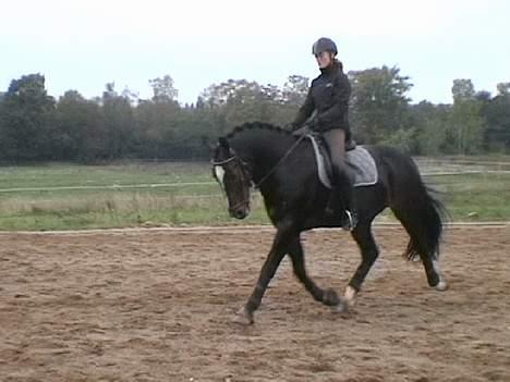 Oldenborg **Valerius** billede 13