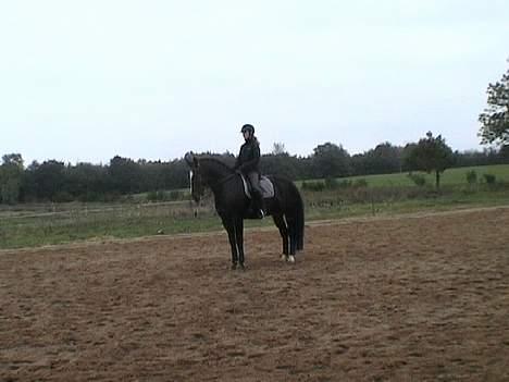 Oldenborg **Valerius** billede 14