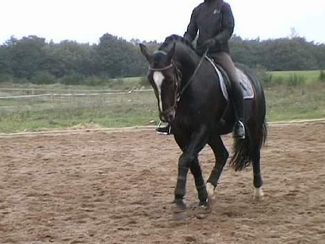 Oldenborg **Valerius** billede 15