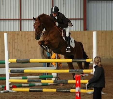 Frederiksborg Sacco Sæbyhøj (Gam. part) - Stævne ude på TEAM billede 3