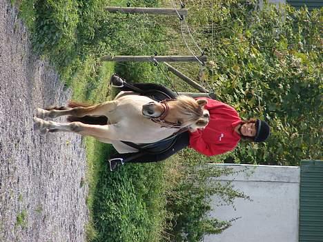 Fjordhest ronja - sød hest, sur rytter.... billede 8