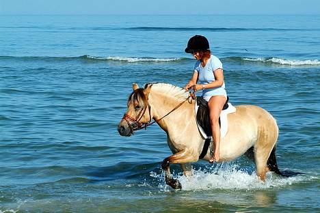 Fjordhest ronja - første tur i vandet... billede 10