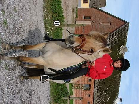 Fjordhest ronja - nu er der kommet lidt smil på;-) billede 13