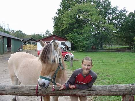 Fjordhest Clausen  - Clausen og mig Fotograf: Line billede 3