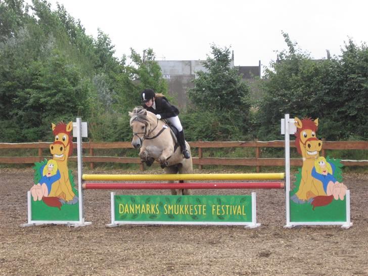 Fjordhest Paw (solgt) - landsstævnet i military, afholdt i Hylke (HYOR/hjemme) efterår 2006 billede 16