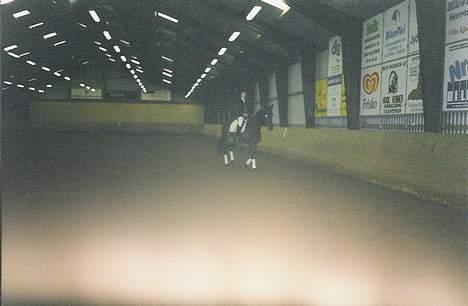 Dansk Varmblod a´kong (solgt) billede 4