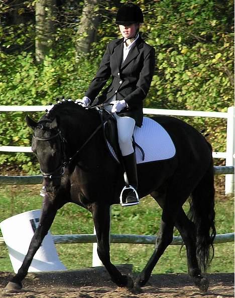 Anden særlig race Shikira (Solgt) billede 15