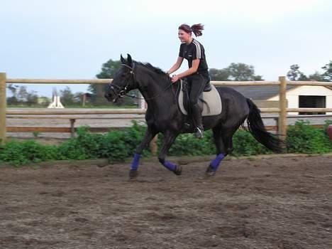 Anden særlig race Shikira (Solgt) billede 16