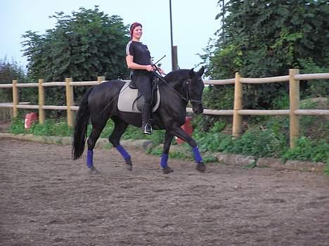Anden særlig race Shikira (Solgt) billede 19