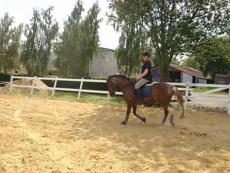 Anden særlig race Sandra [solgt/DØD] <3 - så fin billede 13