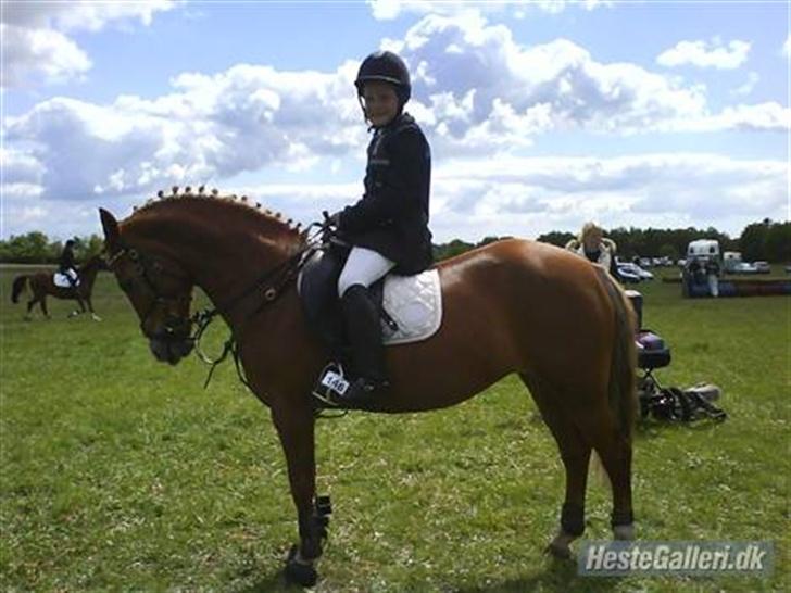 Anden særlig race Donna (SOLGT) ;( - Heej ´ jeg er Donna (:  billede 1