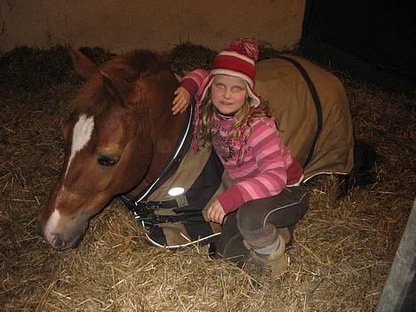 Anden særlig race Donna (SOLGT) ;( - Mig&Donna (: <3 billede 2