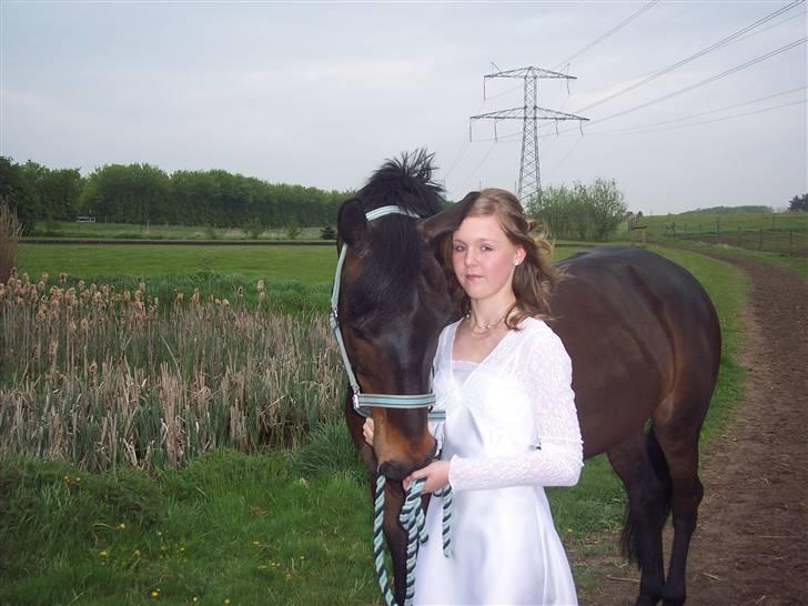 Trakehner Goldenas ( SOLGT)- R.I.P. - Sorte og jeg , d 8 maj, til min konfimation <3 billede 1