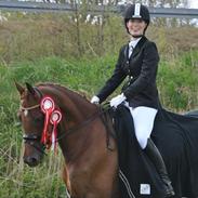 Anden særlig race AMINA