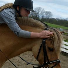 Anden særlig race Kontra