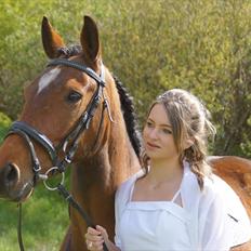 Anden særlig race Cordis