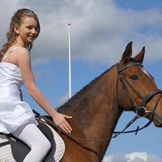 Anden særlig race Cordis