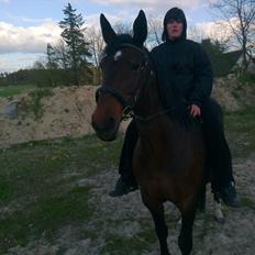 Oldenborg Ulrikke af hvarre 