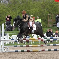 New Forest Adam af wrångebäck